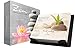 Zen 2020 Box Calendar
