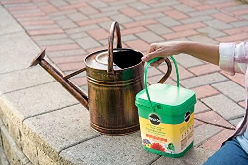 Miracle-Gro Water Soluble All Purpose Plant Food, 1.5kg | Instantly Feeds All Flowers, Veggies, Trees & Shrubs for Bigger, More Beautiful Plants - 1