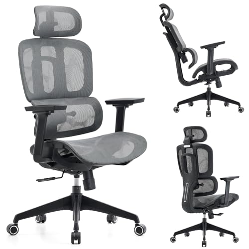 ZXTROM Ergonomic Mesh Office Chair with Lumbar & 3D Armrest