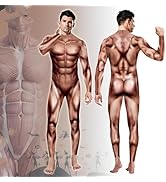 Amazon.co.jp: [Boono] 筋肉 コスプレ 筋肉スーツ 全身タイツ