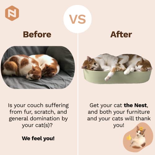 Nova Pet Novapet Nest - Oval Shaped Cat Scratcher Bed Made Eco Friendly Corrugated Cardboard, Nontoxic And Odorless, Design For Ultimate Comfort, Chic Minimalist Style, Matcha Green (Kt11-1) #TOP6