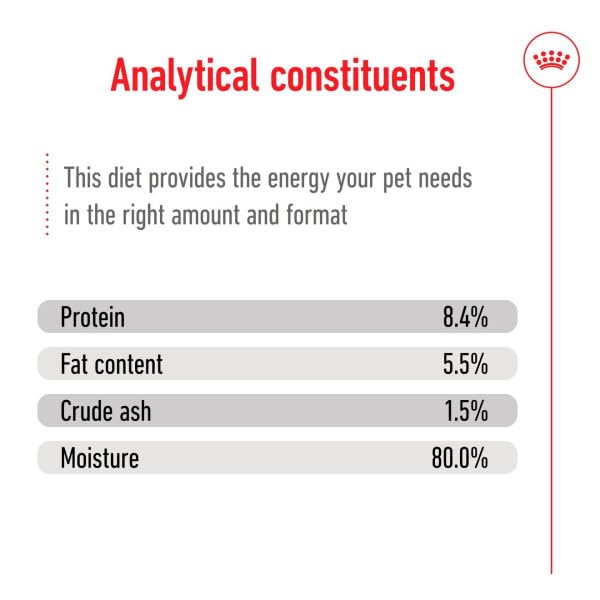 Royal Canin Mini Adult Ageing 12+ | 12 x 195 g | Alimento umido per cani anziani di piccola taglia (da 1 a 10 kg) | A partire da 12 anni di età | Contenuto energetico adattato