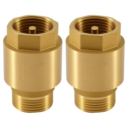 2 Stück Rückschlagventil, G1 Zoll Messing Rückflussverhinderer, 1 AG zu IG Abwasser Rückschlagventil, DN25 IEdelstahl Rückschlag, für Pumpen,