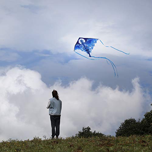 Dragon Kite For Kids Adults, Easy To Fly Best Delta Beach Kite, 300Ft Kite String(Ice) #TOP6