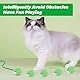 Farerkass Interaktives Katzenspielzeug Ball, Hundespielzeug, Pet Hundeball Elektrisch, Smart Automatisch Rollender Ball für Katzen und Hunde(Grün)
