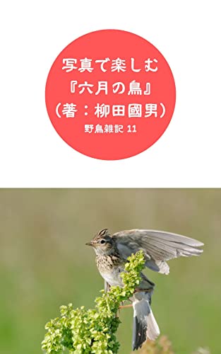 写真で楽しむ『六月の鳥』(著:柳田國男): 野鳥雑記 11 鳥シリーズ