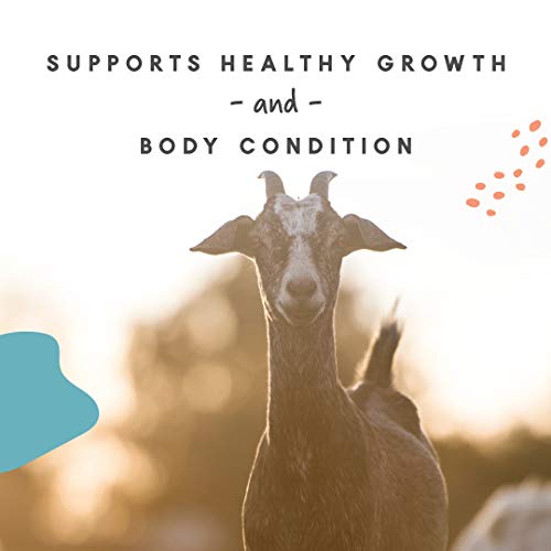 Manna Pro Goat Mineral | Made With Viatimins & Minerals To Support Growth | 8 Pounds #TOP3
