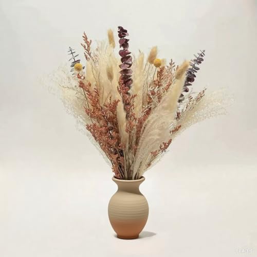 Erba di Pampas Essiccata 34 Pezzi Decorazione Fiori Essiccati Naturale Reed Erba Coniglietto Bunny Tails Fiori Secchi Decorazione da Tavolo Boho per Tavolo Soggiorno Camera da Letto Artigianato Decor