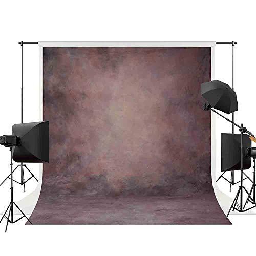 Professional Texture Photography Backdrop Allenjoy 5x7ft Old Master Vintage Dramatic Shadowy Purple