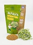 Chemical Free Alfalfa Sprout Seeds -1 Lb- Seeds For: Salad Sprouts & Sprouting - Can Be Grown in Any Sprouter
