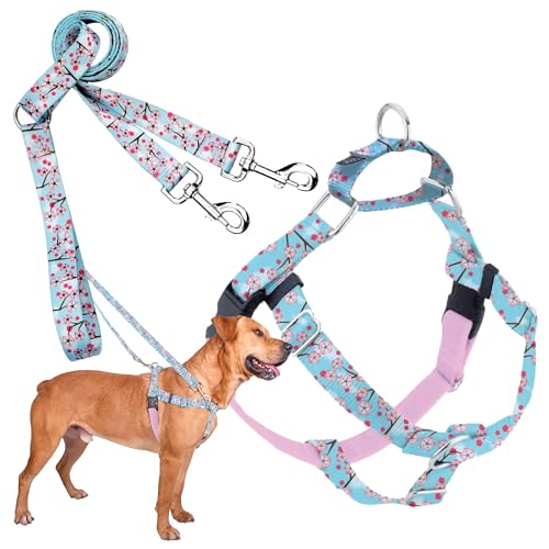 2 Hounds Design - Freedom No-Pull Harness & Training Leash in Pink and Blue | Dual Leash Loops, No Pulling on Walks | Lined to Prevent Chaffing | for Large Sized Dogs (Size L, Chest 28”- 32”)