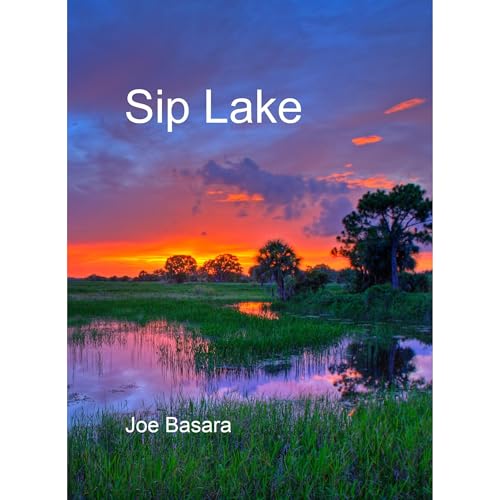 Sip Lake Audiolibro Por Joe Basara arte de portada