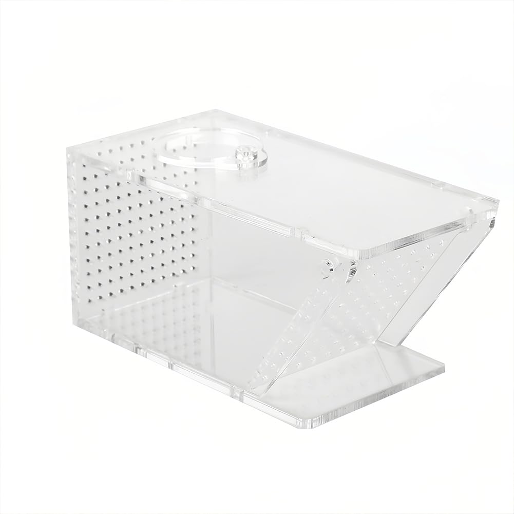 Joyzan Fischfalle Catcher Box, Süßwasserkrabbenfalle Acryl Aquarium zum Fangen von Garnelen Krabben Hausgarten Büro Fisch Süßwasser Krabbenfalle One Way Trap Fischzuchtbox Transparent Einwegventil