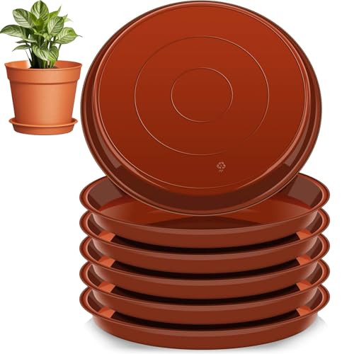 lylqmy 10 sottovasi per piante, 15,2 cm, 30,5 cm, 35,5 cm, in plastica, affidabili, vassoi per vasi di fiori di 4 dimensioni, impermeabili, per interni ed esterni, giardino (15,2 cm, marrone)