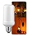 LED Flickering Flame Bulb,Creative Lights with Flickering Emulation,Vintage Atmosphere Decorative Lamps, Simulated Nature Gas Fire in Antique Hurricane Lantern- E26 Standard 1 Pack