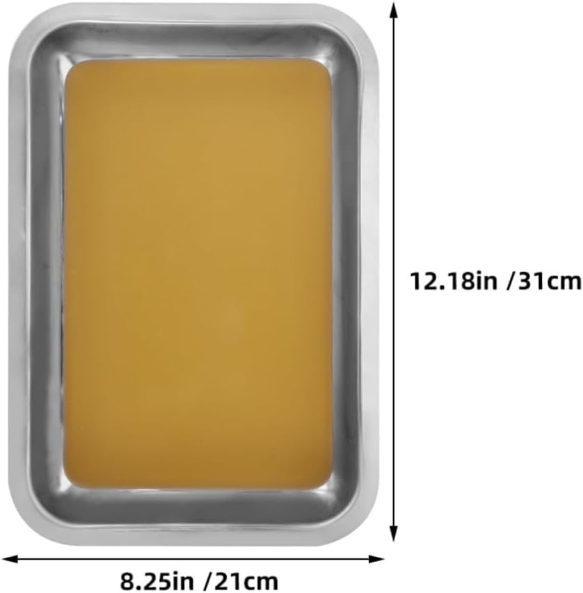 2pcs A4 Stainless Steel Dissection Tray for Biology Classroom Lab Work | Wax Lined, Non Scratch Base, Silver Finish, School and Research Use