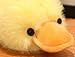 TROYSINC Peluche de pato de dibujos animados de peluche Imagen de TROYSINC Peluche de pato de dibujos animados de peluche