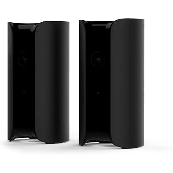 canary google home hub