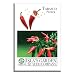 Tabasco Hot Peppers Seeds, 100+ Premium Heirloom Seeds, 90% Germination Rates Hot and Full of Flavor! A Must Have for Your Home Garden!, (Isla's Garden Seeds), Non GMO, Highest Quality Seeds.