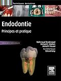  Endodontie: Principes et pratique (Techniques dentaires) (English Edition)