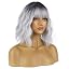 Ombre Silver