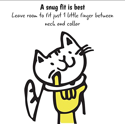 Image of Kittyrama Copacabana Cat Collar. Award Winning. As Seen in British Vogue. Other Styles and Colors Available. for Adult Cats