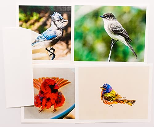 Bird Photography Textured Note Cards Matching Envelopes, Boxed Set (4.25