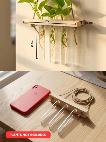 Image of Bombay Greens ; Sow, grow, eat, repeat Hanging Planter with Wooden Holder & Rope | 3 Test Tube Hanging Plant Indoor Stand | Wooden Planter for Home Decor, Living Room, Balcony & Office Decoration