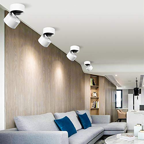 Image of LED Ceiling Spotlight-Indoor 360Adjustable Surface Mounted 10W COB Ceiling Downlight-Wall Lamp for Picture Background Wall Display Lighting(White,4000K Natural Light)
