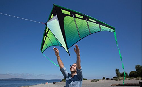 Prism Kite Technology Zenith 5 Single Line Delta Kite, Ultraviolet #TOP5