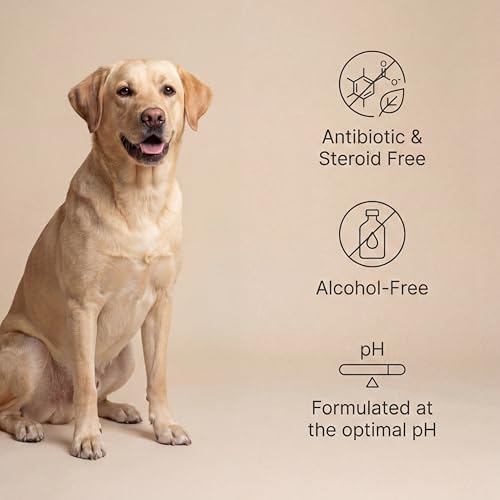 Goldie Dog Essentials Paw Care Bundle with Hypochlorous Spray & Wipes image 5