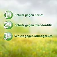 Salviagalen F Madaus (75 ml) - Medizinische Zahnpasta mit Fluorid | Zahnreinigung für empfindliche Zähne mit Dreifach-Aktivschutz – Ansicht 4