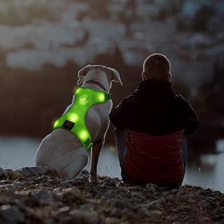 LED Dog Harness, Easy Control Led Dog Vest Harness with Adjustible Belt, USB