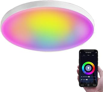 المادة الذكية RGBCW أضواء السقف ، تعمل مع Homekit & Alexa ، التطبيق والتحكم الصوتي ، لغرفة المعيشة ، غرفة النوم ، المطبخ ، حفلة الأطفال 24W