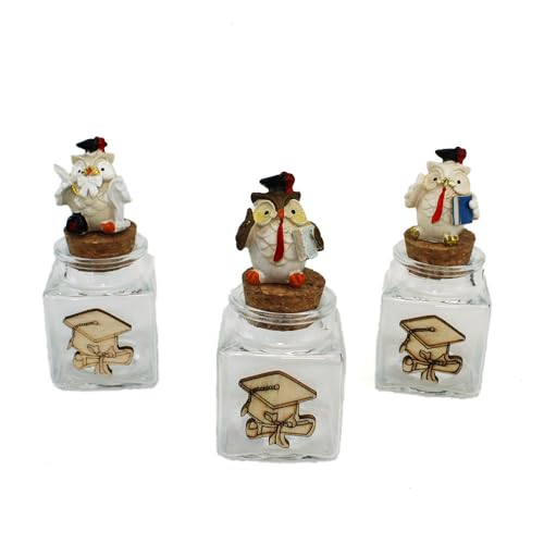 DLM 34523 (Kit 12 Pezzi) Barattolo in Vetro Quadrato con Gufo Gufetto Laurea Tesi Cappello Pergamena Portafortuna bomboniera