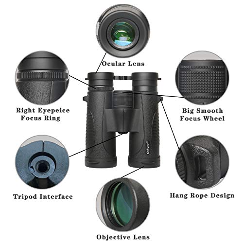 Gskyer Binoculars, 12X42 Binoculars For Adults And Kids, Binoculars For Hunting, Binoculars For Bird Watching Travel Concerts Sports Stargazing And Planets-Large Lens Bak4 Prism Fmc-With Phone Mount #TOP6