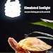 MOUNTTU Reptile Uvb Bulb 5.0 Uvb E27 Interface Subtropical Reptile Light Blue White Lighting Reptile Light Fixture For Turtle, 26w