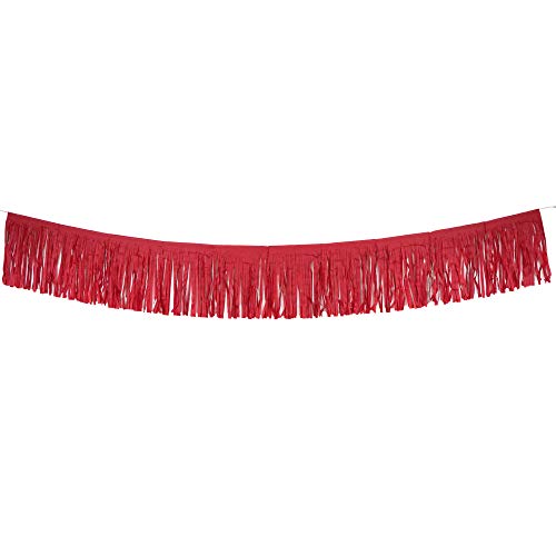 Tissue Paper Fringe Tassel Party Garland - Perfect Backdrop For All Events & Occasions (6-Count, Rainbow Mix) #TOP4