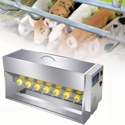 Station alimentation porcelets en acier inoxydable durable pour élevage moderne