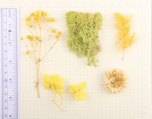 Flores secas 135 gramos para manualidades variadas miniatura 5