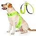 Hund und günstig Kaufen-KOSKILL LED Hundegeschirr Wiederaufladbares Beleuchtetes Hundegeschirr Leuchtet Im Dunkeln LED Hundeweste Reflektierend Hundelichter für Nachtspaziergänge Grün M
