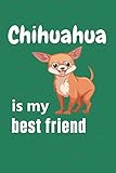 chihuahua european friendship  Chihuahua is my best friend: For Chihuahua Dog Fans