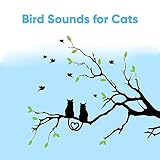 Bird Sound Collectors