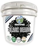 CLEAR CREEK Black Beans | 25 LBS | Emergency Food Storage Bucket | Non-GMO | Vegan | Bulk