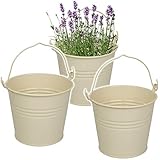 3 Stück _ kleine / mittel große _____ hochwertige, wetterfeste ______ Metall Eimer mit Henkel _____ ideal als Tisch-Deko / für den Garten & als Übertopf ____ Farbe: 