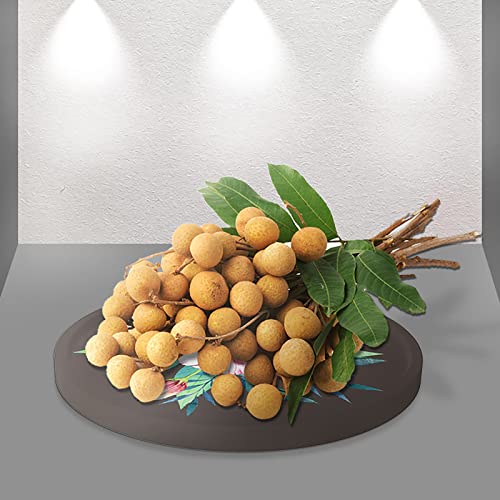 Maturegirl 5Pcs Round Fruit Dessert Storage Tray Silicone Tool Diy Crystal Glue Tool Chip Bag Sealer Mini (White-C, One Size) #TOP6