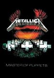 LPGI Metallica Master of Puppets Fabric Poster Flag Wall Hanging