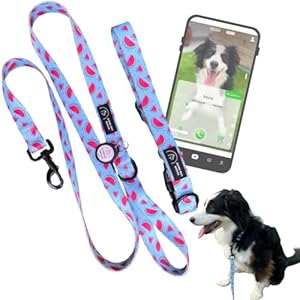GoodBoyRoger-Collar Localizable sin cuota-Sin GPS-Correa Perro-Collar Perro pequeño-Mediano-localizador-Collares para Perros-Correa Larga-rastreador para Perros
