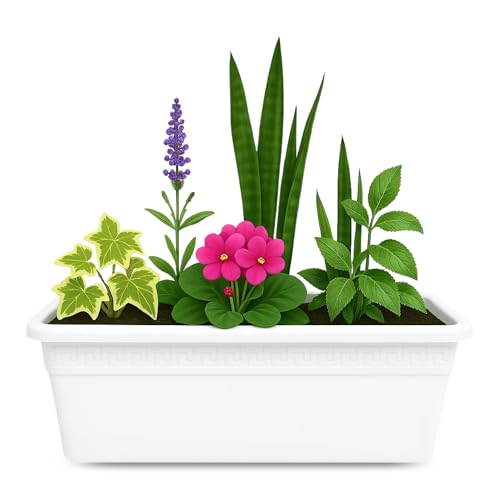 Jardinera de plástico sin plato, Balconera plástico, Macetero para Jardín, Fabricado en Polipropileno, Apto balcón, Patio, Interior/Exterior, 50 cm Largo x 15 cm Alto x 18 cm Fondo, Blanco