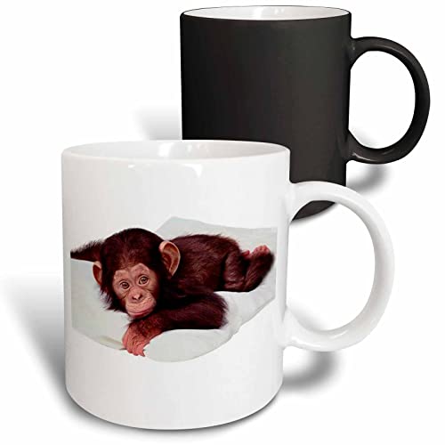 3dRose Cute Chimpanzee 11oz Magic Transforming Mug